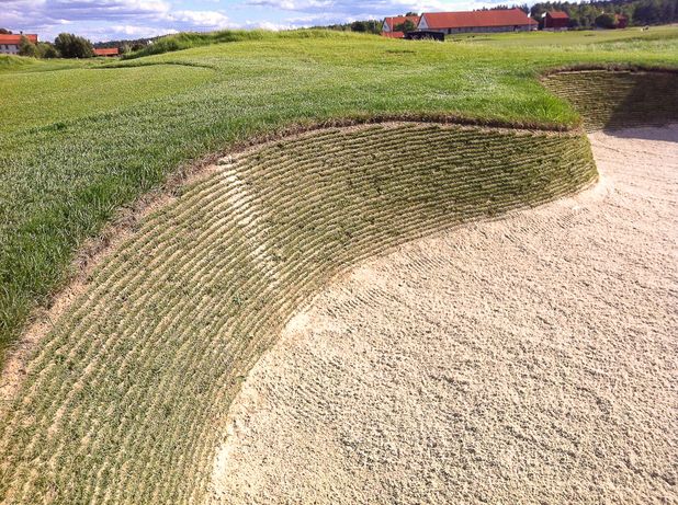 Skotsk känsla på Frösåker