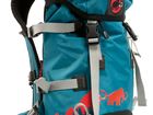 Mammut First Ascent