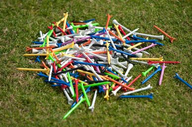 Världens största golfdemo