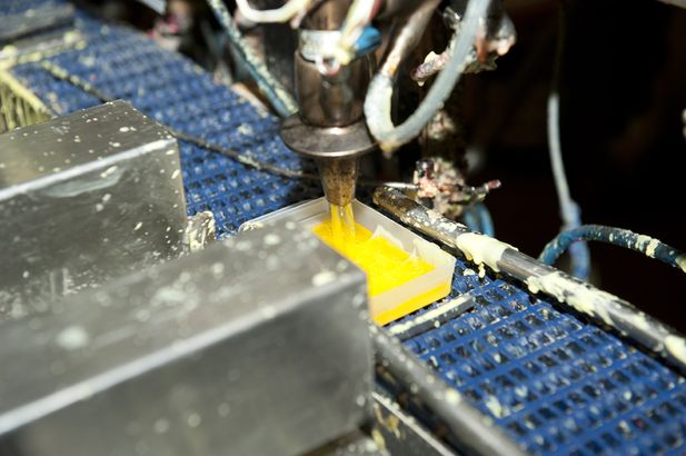 Skidåkaren som blev vallakung