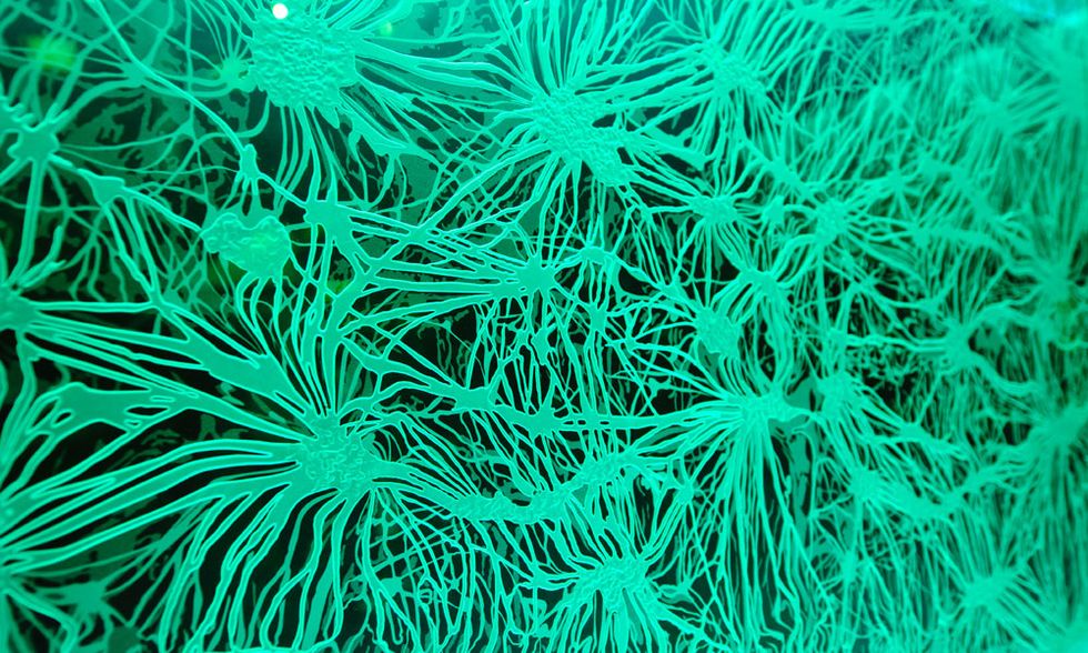 Sportfack besöker W.L. GORE