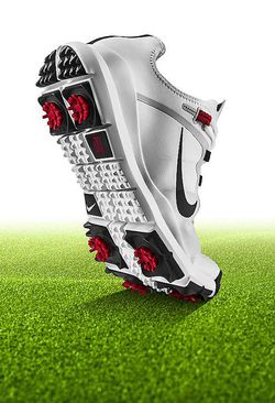 Produktutvecklaren Tiger Woods