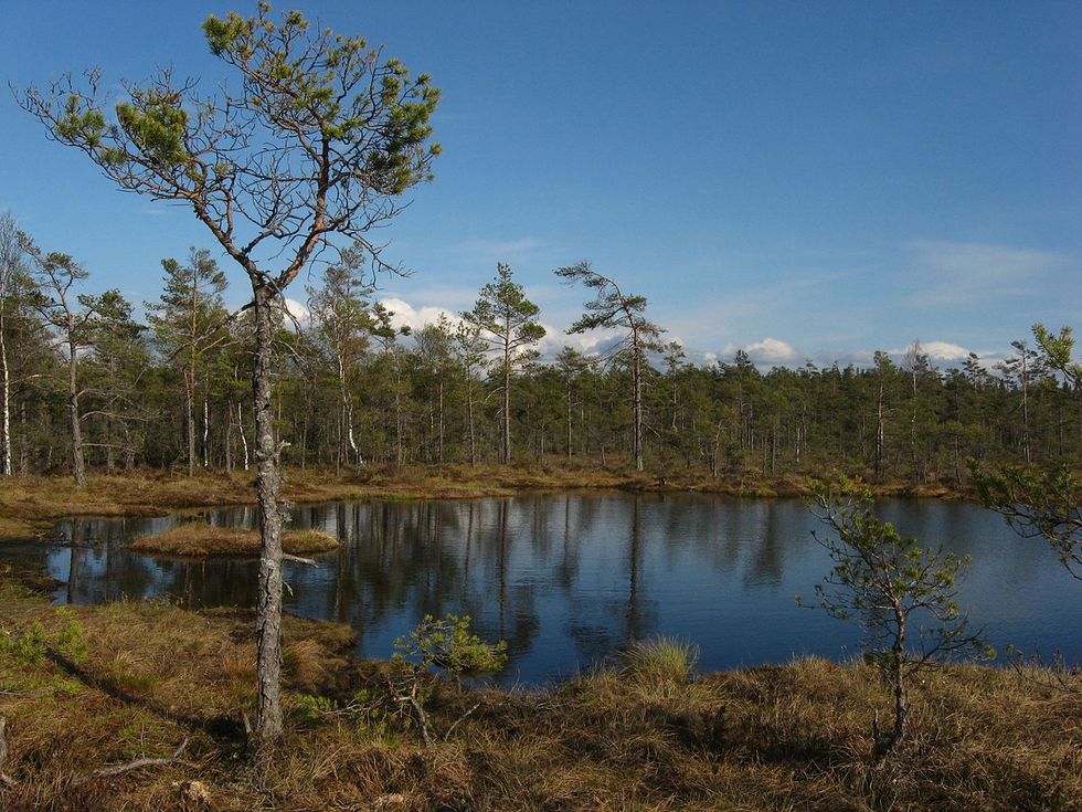 App ska få folk att hitta ut i naturen