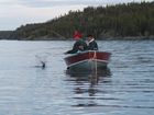 Bios bildar bolag med norrmän
