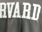 Champion sweater