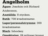 I Ängelholm är hockey kung