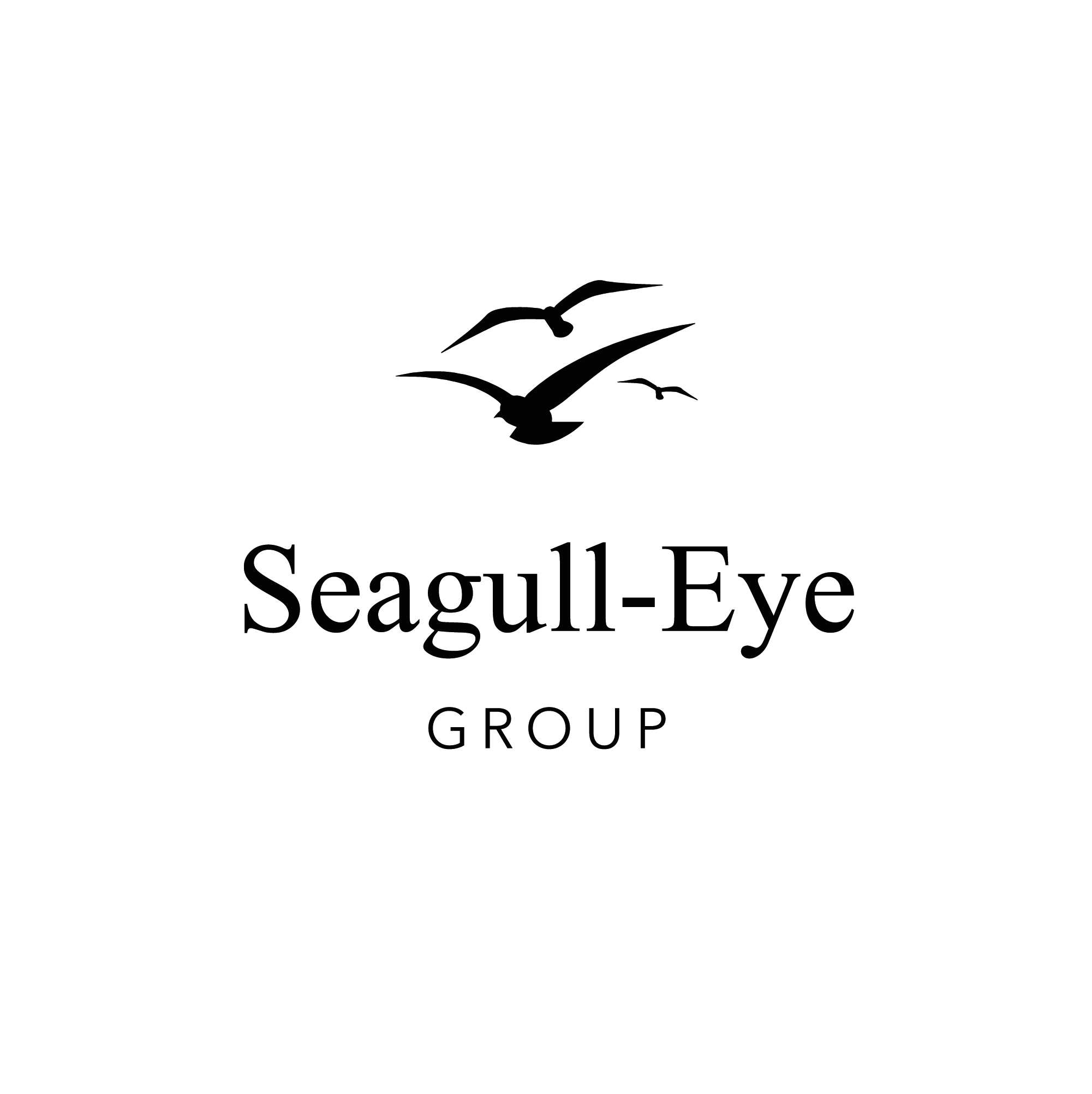 Image for Seagull-Eye Group