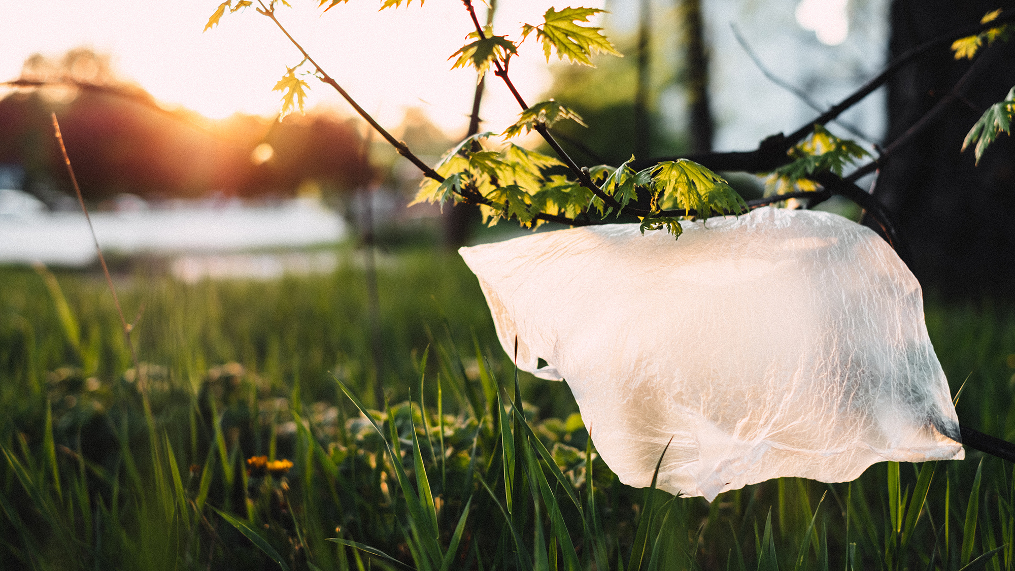 Nu ryker skatten på den omdebatterade plastpåsen